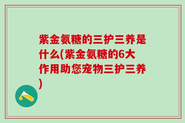 紫金氨糖的三护三养是什么(紫金氨糖的6大作用助您宠物三护三养)
