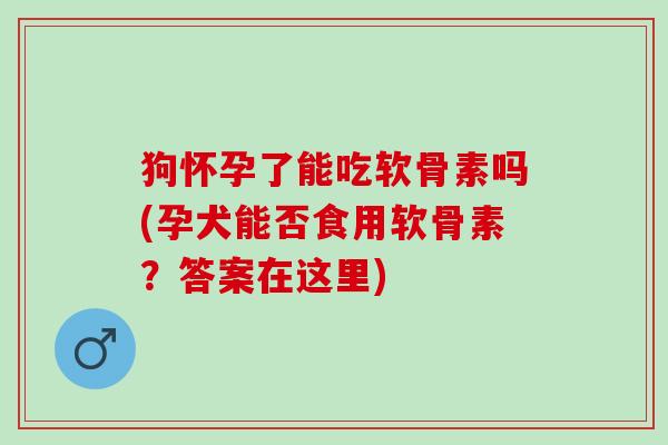 狗怀孕了能吃软骨素吗(孕犬能否食用软骨素？答案在这里)