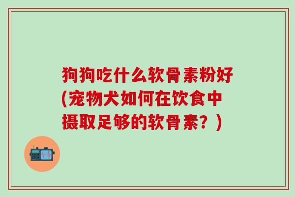 狗狗吃什么软骨素粉好(宠物犬如何在饮食中摄取足够的软骨素？)