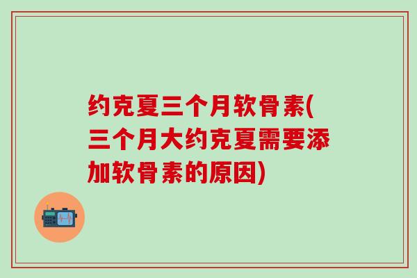 约克夏三个月软骨素(三个月大约克夏需要添加软骨素的原因)