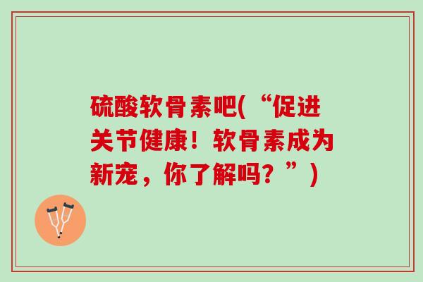 硫酸软骨素吧(“促进关节健康！软骨素成为新宠，你了解吗？”)