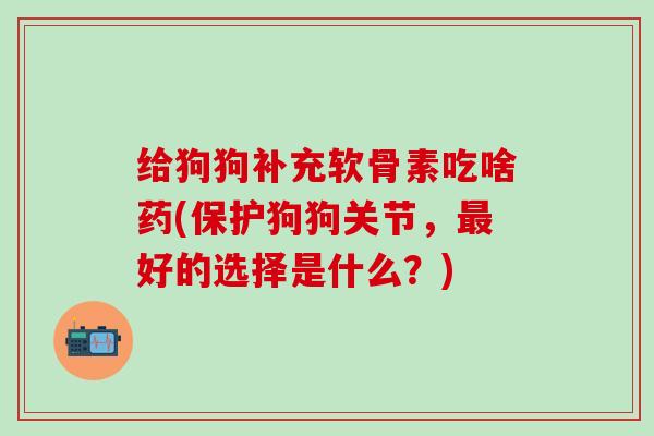 给狗狗补充软骨素吃啥药(保护狗狗关节，最好的选择是什么？)