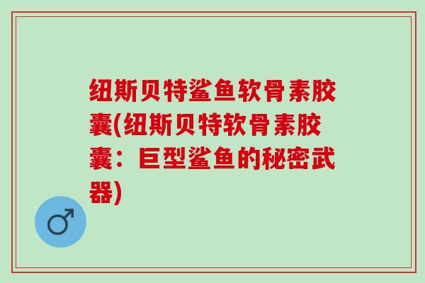 纽斯贝特鲨鱼软骨素胶囊(纽斯贝特软骨素胶囊：巨型鲨鱼的秘密武器)