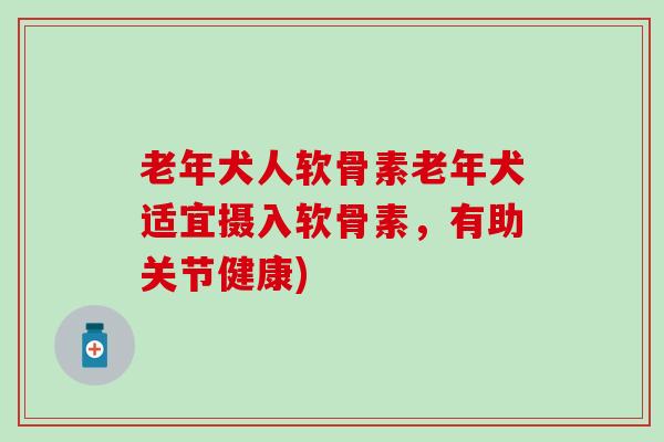 老年犬人软骨素老年犬适宜摄入软骨素，有助关节健康)