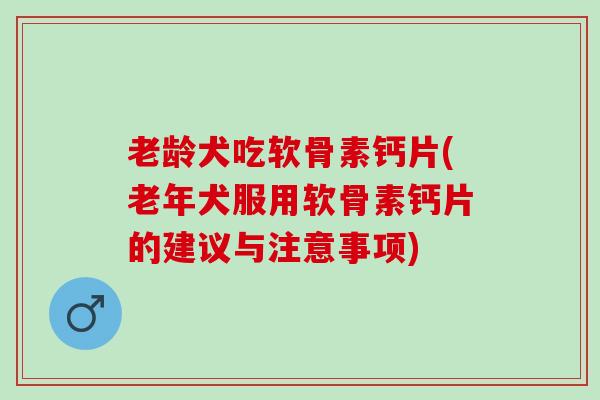 老龄犬吃软骨素钙片(老年犬服用软骨素钙片的建议与注意事项)