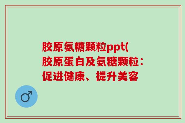 胶原氨糖颗粒ppt(胶原蛋白及氨糖颗粒：促进健康、提升美容