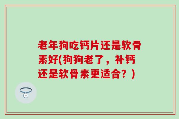 老年狗吃钙片还是软骨素好(狗狗老了，补钙还是软骨素更适合？)