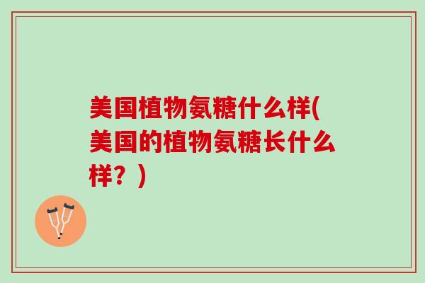 美国植物氨糖什么样(美国的植物氨糖长什么样？)