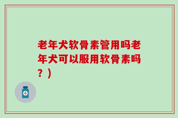 老年犬软骨素管用吗老年犬可以服用软骨素吗？)