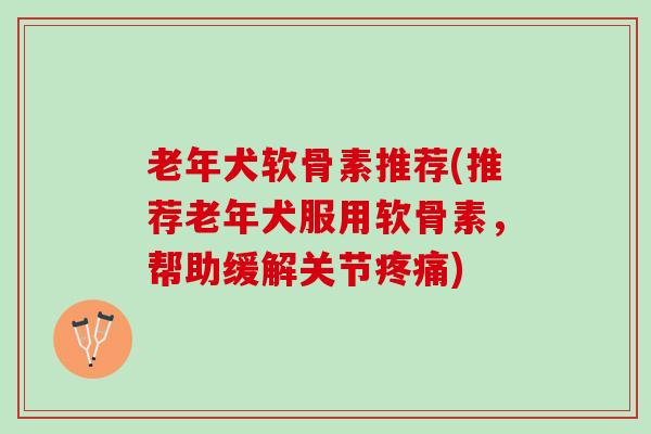 老年犬软骨素推荐(推荐老年犬服用软骨素，帮助缓解关节疼痛)