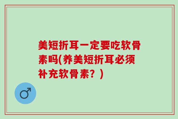 美短折耳一定要吃软骨素吗(养美短折耳必须补充软骨素？)