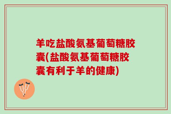 羊吃盐酸氨基葡萄糖胶囊(盐酸氨基葡萄糖胶囊有利于羊的健康)