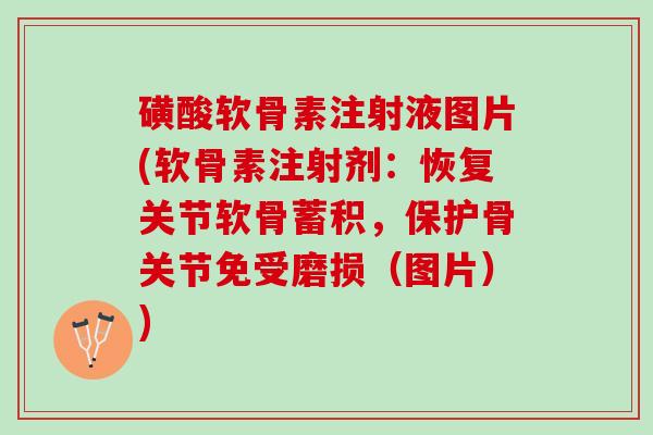 磺酸软骨素注射液图片(软骨素注射剂：恢复关节软骨蓄积，保护骨关节免受磨损（图片）)
