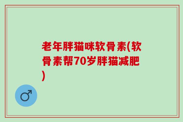 老年胖猫咪软骨素(软骨素帮70岁胖猫) 老年胖猫咪软骨素(软骨素帮70岁胖猫)