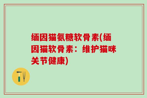 缅因猫氨糖软骨素(缅因猫软骨素：维护猫咪关节健康)