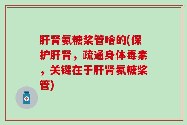 肝肾氨糖桨管啥的(保护肝肾，疏通身体毒素，关键在于肝肾氨糖桨管)