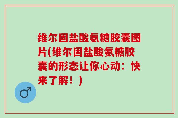 维尔固盐酸氨糖胶囊图片(维尔固盐酸氨糖胶囊的形态让你心动：快来了解！)