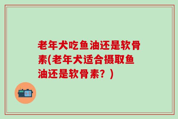 老年犬吃鱼油还是软骨素(老年犬适合摄取鱼油还是软骨素？)