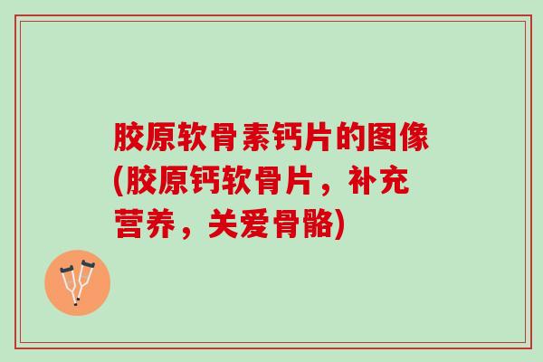 胶原软骨素钙片的图像(胶原钙软骨片,补充营养,关爱骨骼) 胶原软骨素钙片的图像(胶原钙软骨片,补充营养,关爱骨骼)