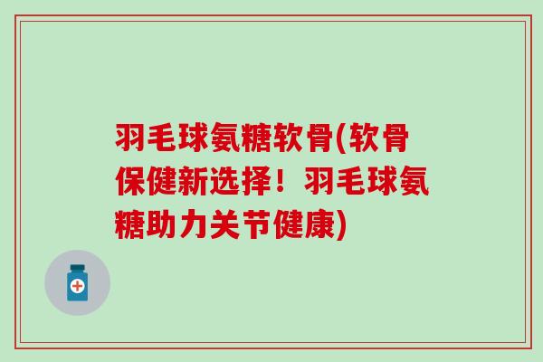 羽毛球氨糖软骨(软骨保健新选择！羽毛球氨糖助力关节健康)