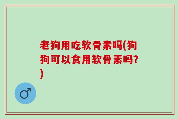 老狗用吃软骨素吗(狗狗可以食用软骨素吗？)