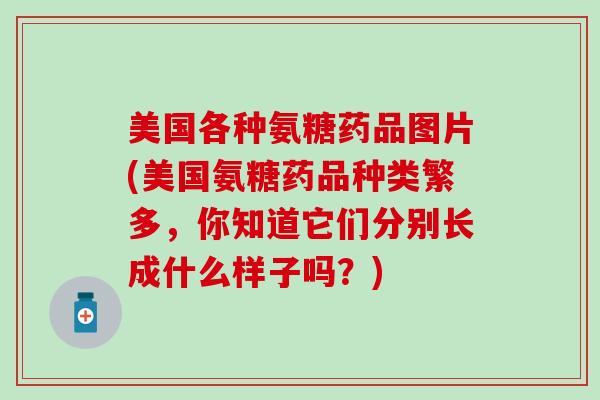 美国各种氨糖药品图片(美国氨糖药品种类繁多,你知道它们分别长成什么样子吗?) 美国各种氨糖药品图片(美国氨糖药品种类繁多,你知道它们分别长成什么样子吗?)