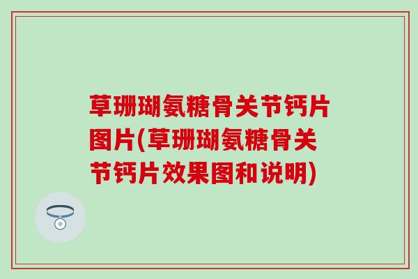 草珊瑚氨糖骨关节钙片图片(草珊瑚氨糖骨关节钙片效果图和说明)