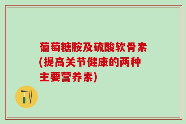 葡萄糖胺及硫酸软骨素(提高关节健康的两种主要营养素)