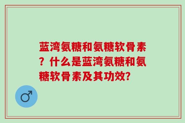 蓝湾氨糖和氨糖软骨素？什么是蓝湾氨糖和氨糖软骨素及其功效？