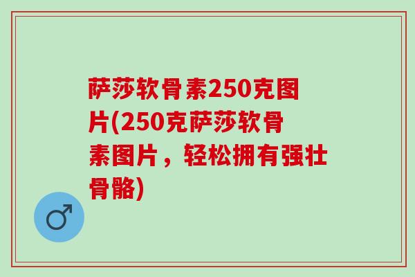 萨莎软骨素250克图片(250克萨莎软骨素图片,轻松拥有强壮骨骼) 萨莎软骨素250克图片(250克萨莎软骨素图片,轻松拥有强壮骨骼)