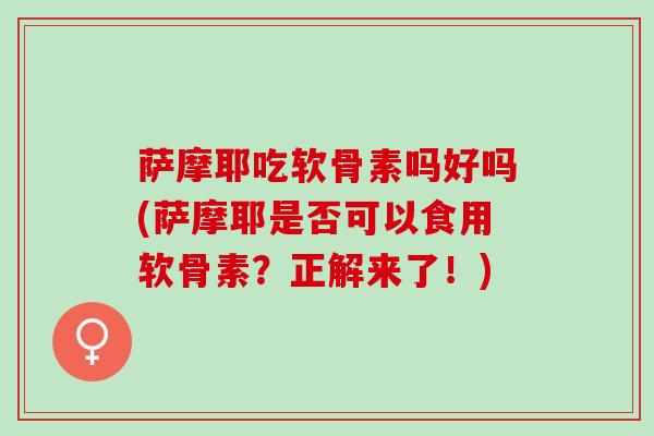 萨摩耶吃软骨素吗好吗(萨摩耶是否可以食用软骨素？正解来了！)