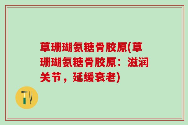 草珊瑚氨糖骨胶原(草珊瑚氨糖骨胶原：滋润关节，延缓衰老)