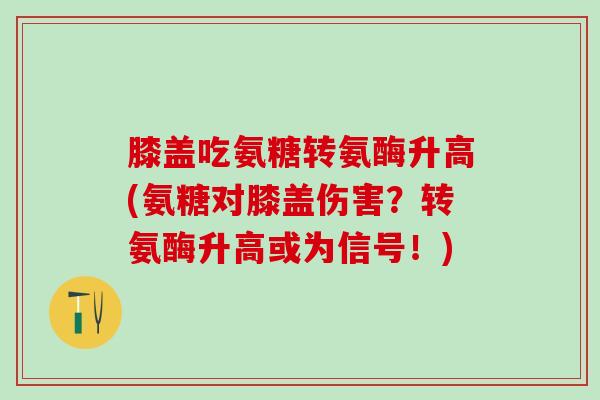 膝盖吃氨糖转氨酶升高(氨糖对膝盖伤害？转氨酶升高或为信号！)