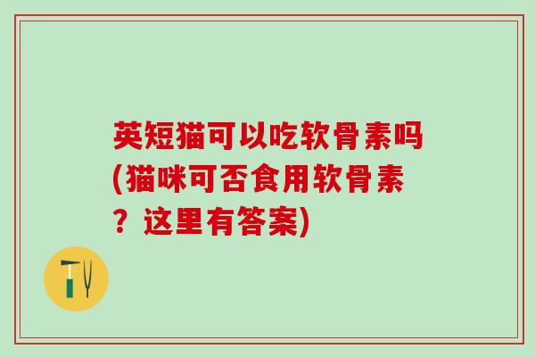 英短猫可以吃软骨素吗(猫咪可否食用软骨素？这里有答案)
