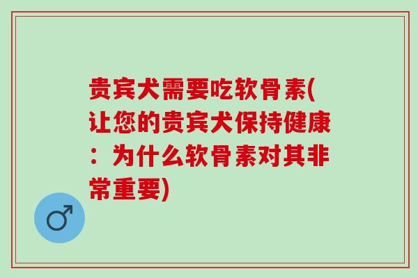 贵宾犬需要吃软骨素(让您的贵宾犬保持健康：为什么软骨素对其非常重要)