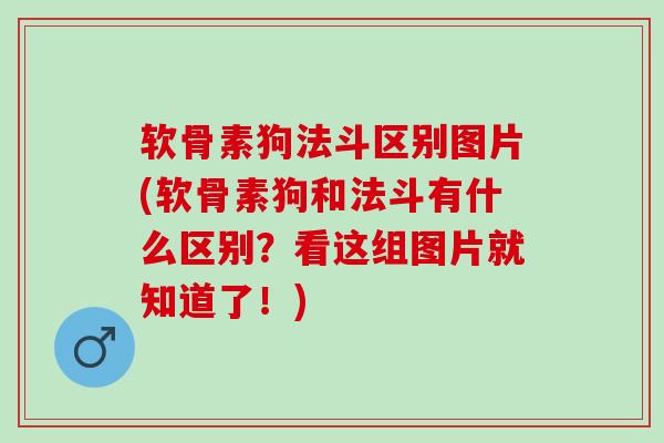 软骨素狗法斗区别图片(软骨素狗和法斗有什么区别？看这组图片就知道了！)