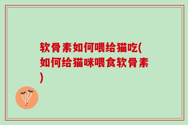 软骨素如何喂给猫吃(如何给猫咪喂食软骨素)