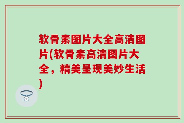 软骨素图片大全高清图片(软骨素高清图片大全，精美呈现美妙生活)