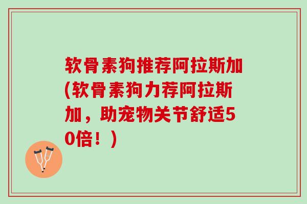 软骨素狗推荐阿拉斯加(软骨素狗力荐阿拉斯加，助宠物关节舒适50倍！)