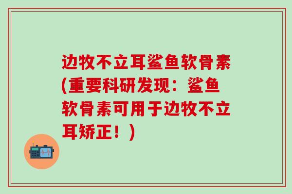 边牧不立耳鲨鱼软骨素(重要科研发现：鲨鱼软骨素可用于边牧不立耳矫正！)