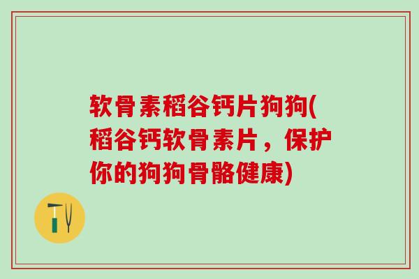 软骨素稻谷钙片狗狗(稻谷钙软骨素片，保护你的狗狗骨骼健康)