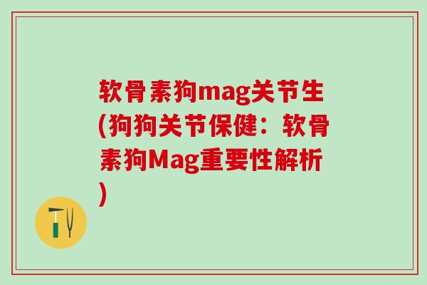 软骨素狗mag关节生(狗狗关节保健：软骨素狗Mag重要性解析)