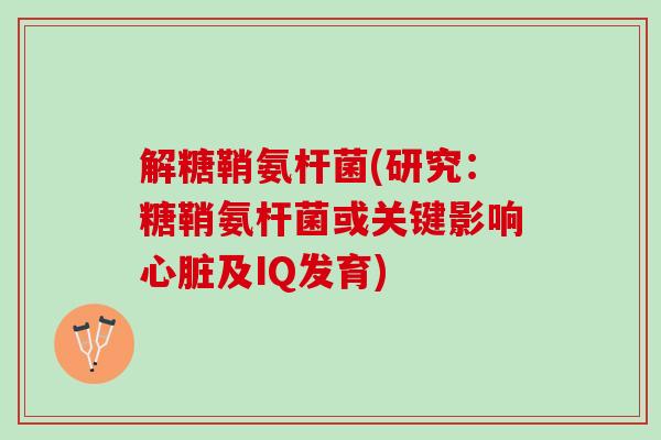 解糖鞘氨杆菌(研究：糖鞘氨杆菌或关键影响及IQ发育)