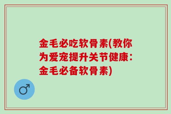 金毛必吃软骨素(教你为爱宠提升关节健康：金毛必备软骨素)