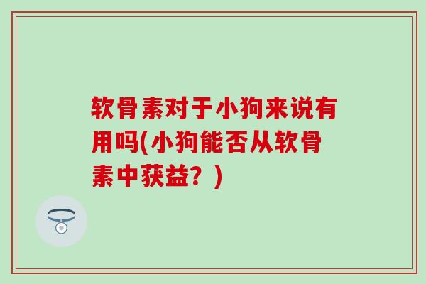 软骨素对于小狗来说有用吗(小狗能否从软骨素中获益？)