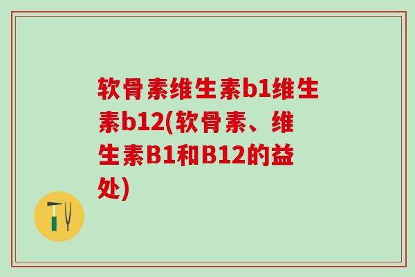 软骨素维生素b1维生素b12(软骨素、维生素B1和B12的益处)