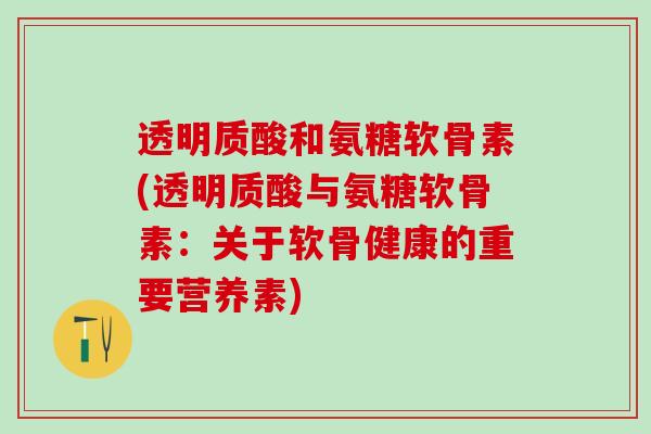 透明质酸和氨糖软骨素(透明质酸与氨糖软骨素：关于软骨健康的重要营养素)