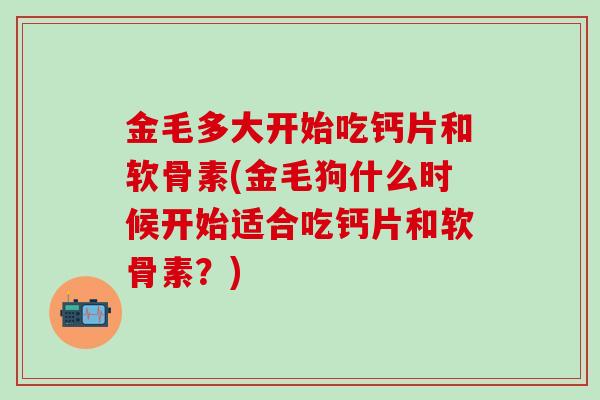 金毛多大开始吃钙片和软骨素(金毛狗什么时候开始适合吃钙片和软骨素?) 金毛多大开始吃钙片和软骨素(金毛狗什么时候开始适合吃钙片和软骨素?)