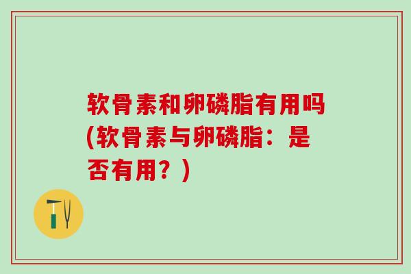 软骨素和卵磷脂有用吗(软骨素与卵磷脂：是否有用？)