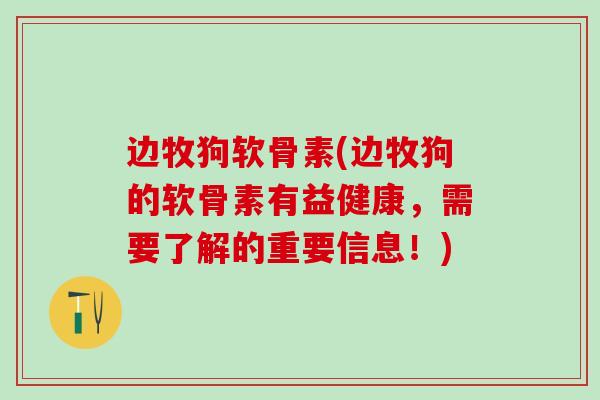 边牧狗软骨素(边牧狗的软骨素有益健康，需要了解的重要信息！)